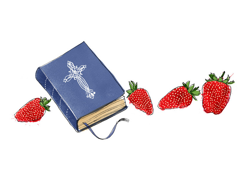 " Bible & Strawberries " © Alice Tait 2007